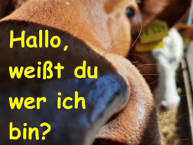 Bild "Kinderkram:2020-04-22_Zuarbeit_Tagesablauf_Nils_001_Ausschnitt_690breit_max500hoch.JPG"